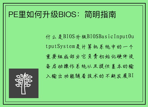 PE里如何升级BIOS：简明指南